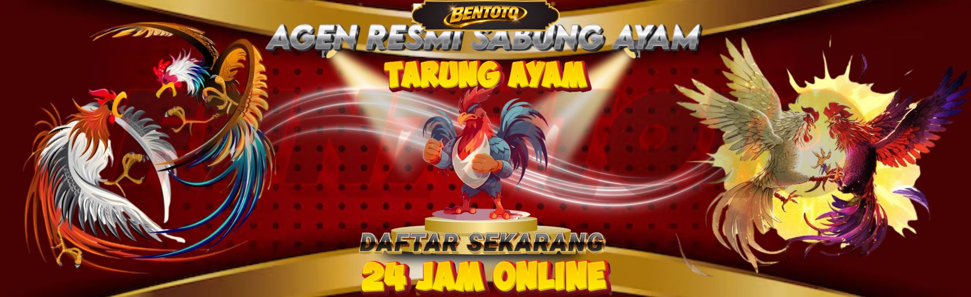 Sabung ayam BENTOTO